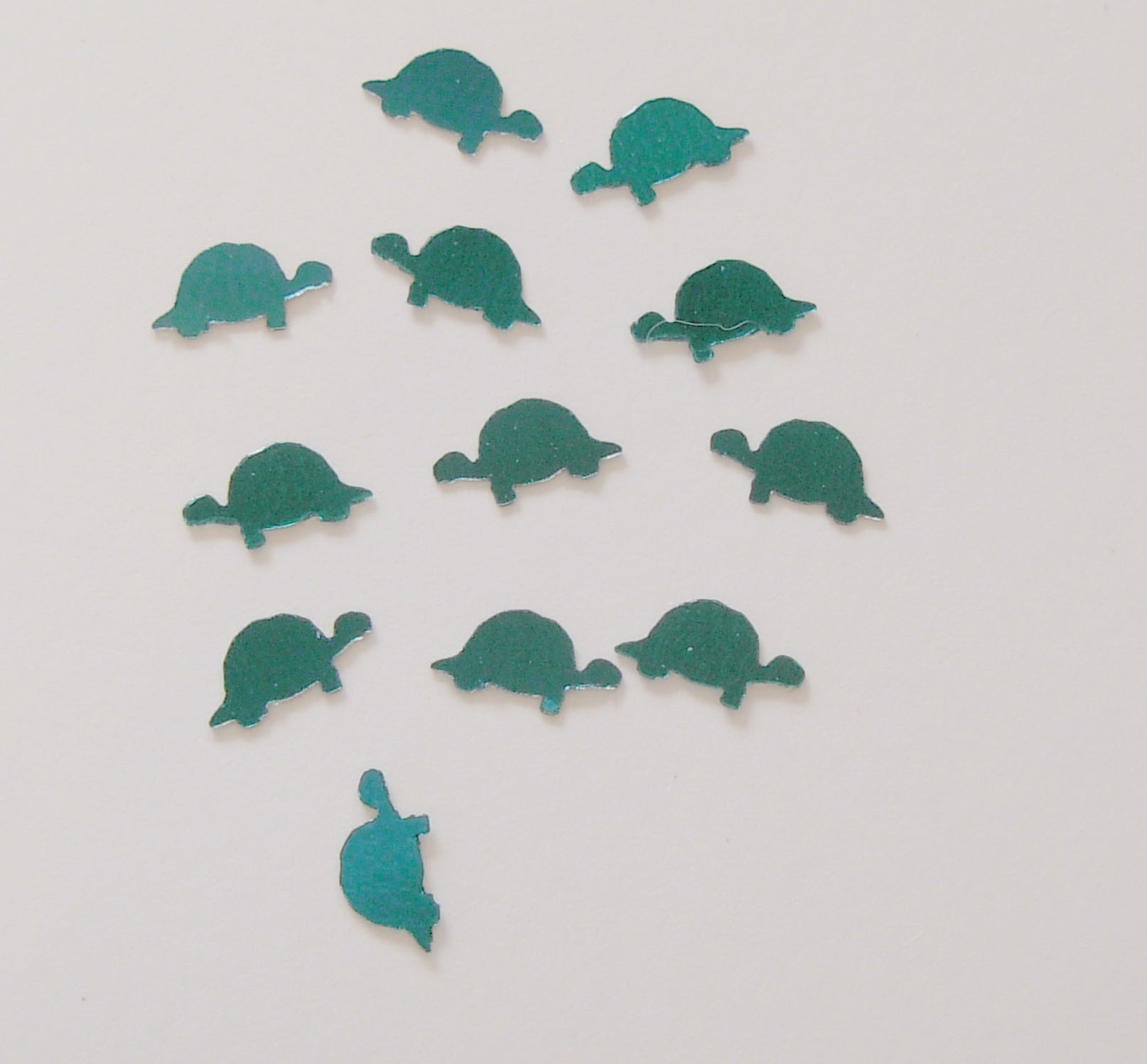 1104: Teal Turtles Micro Confetti